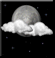 Tuesday Night: Partly Cloudy